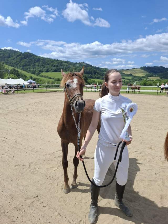 379dde68-1823-4ed3-9be7-3577b4d6d021